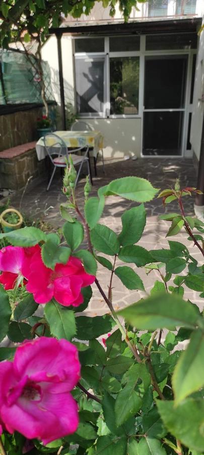 Apartma Marinka Piran Zewnętrze zdjęcie
