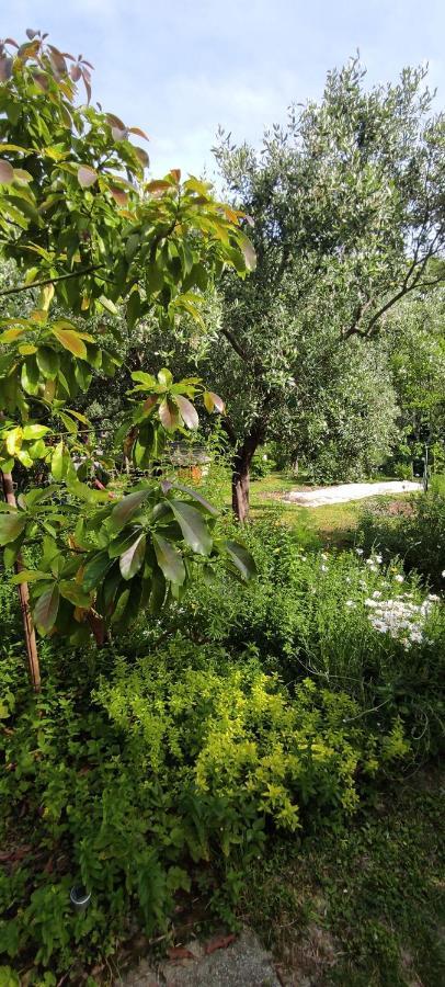 Apartma Marinka Piran Zewnętrze zdjęcie