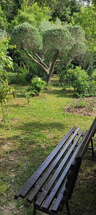 Apartma Marinka Piran Zewnętrze zdjęcie