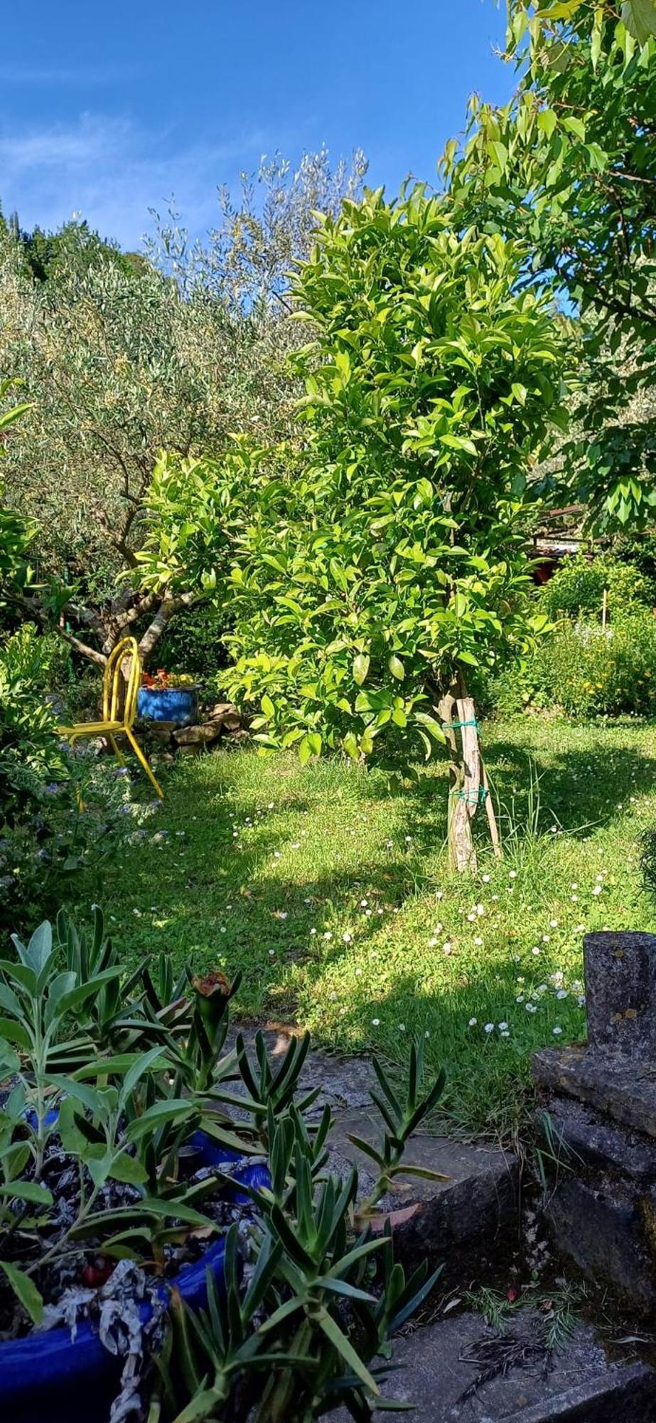 Apartma Marinka Piran Zewnętrze zdjęcie