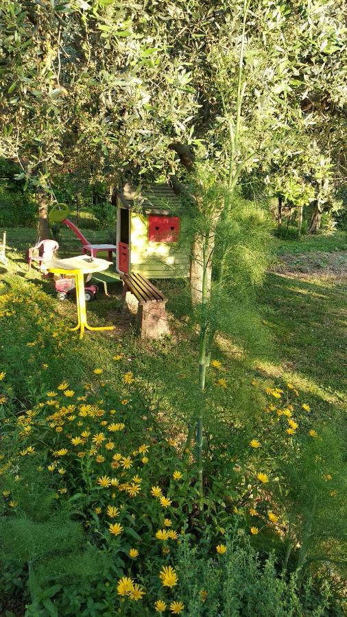 Apartma Marinka Piran Zewnętrze zdjęcie