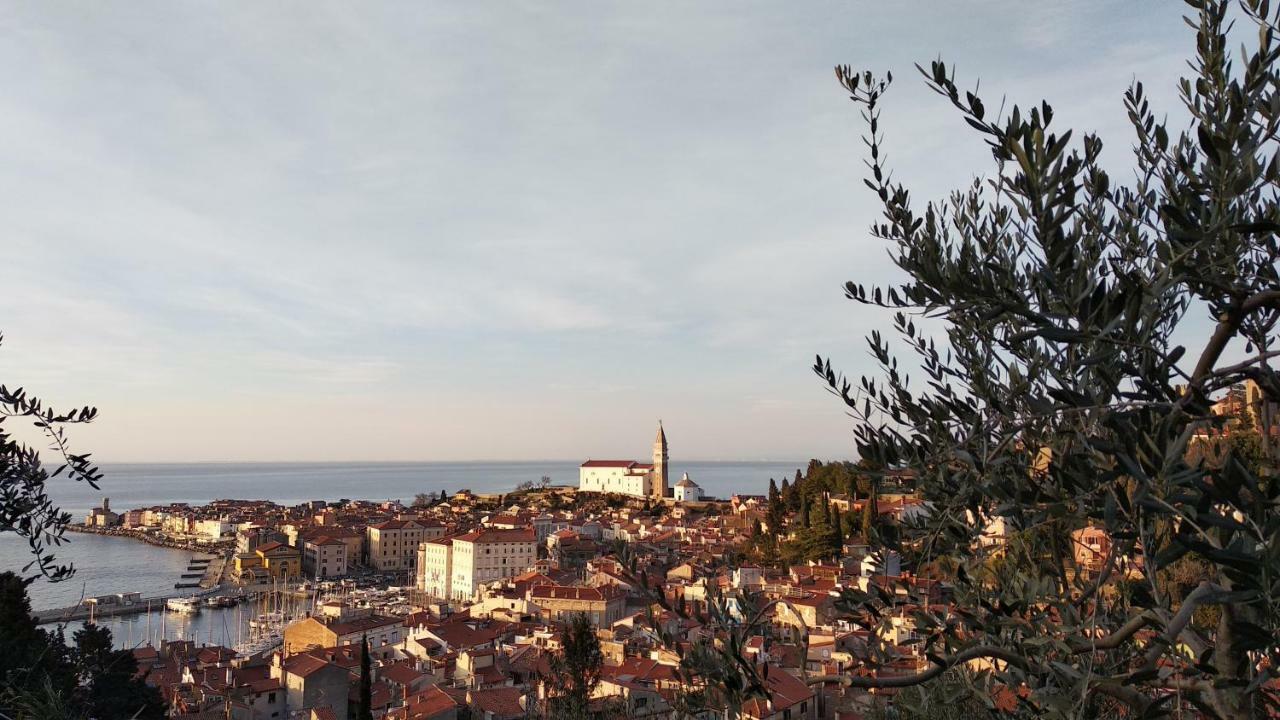 Apartma Marinka Piran Zewnętrze zdjęcie